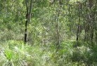 Banksia Peninsulaplants-72.jpg; ?>
